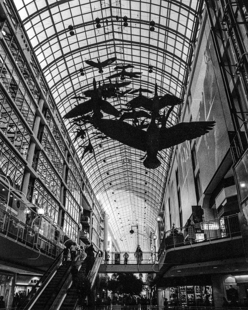 Black-and-white photograph of the Eaton Centre interior in Toronto, featuring a glass-vaulted arcade with suspended silhouettes of flying geese above escalators and shoppers below.