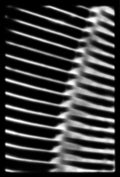 Black-and-white abstract photograph showing a blurred, rhythmic pattern of curved metal slats, with repeated horizontal lines creating a sense of motion and mechanical vibration.