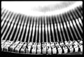 Black-and-white close-up photograph of a typewriter mechanism, showing metal typebars and letter punches arranged in a dense mechanical pattern with shallow depth of field.